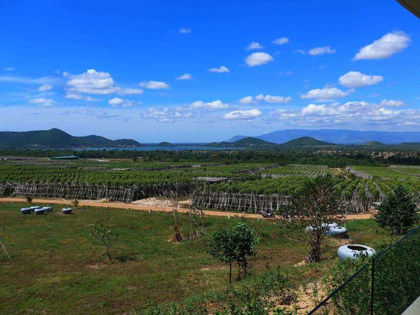 From Phnom Penh: Kampot Day Trip to Beautiful place W/ Guide - Kep Crab Market and fresh seafood