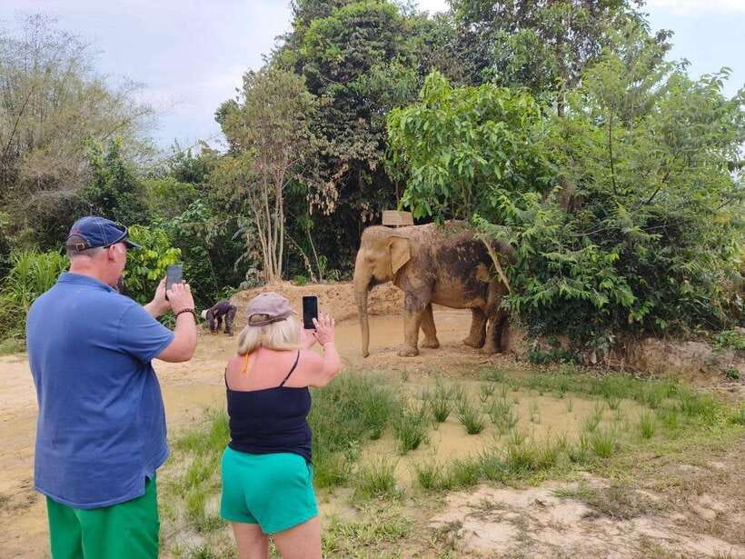 From Siem Reap: Elephant Sanctuary Experience with Transfers - Key points to know before you book