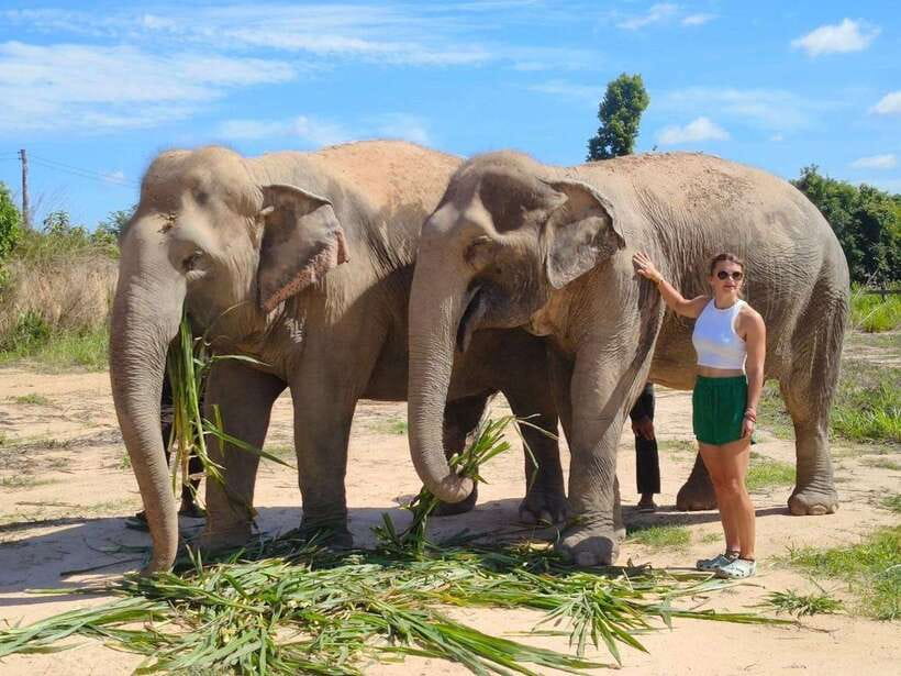 From Siem Reap: Elephant Sanctuary Experience with Transfers - A safety talk that actually matters