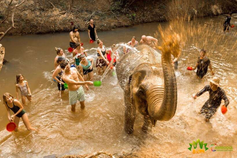 From Siem Reap: Elephant Sanctuary Experience with Transfers - Mud, water, and the possibility of a river bath