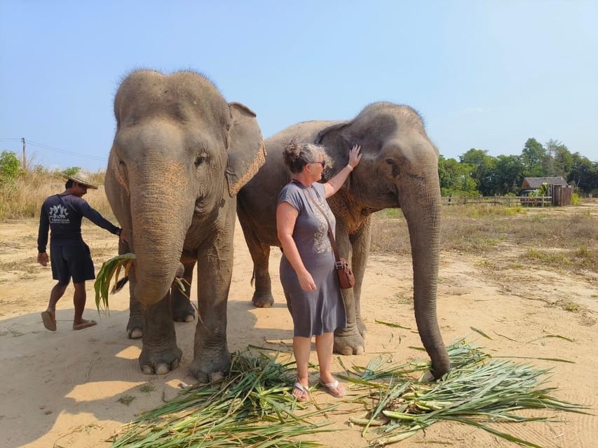 From Siem Reap: Elephant Sanctuary Experience with Transfers - What the guide adds to the experience