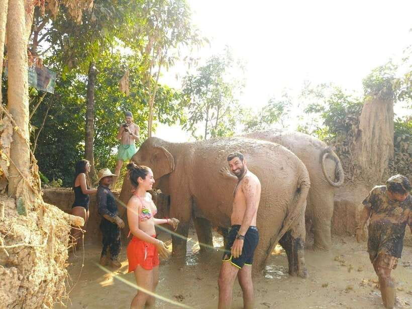 From Siem Reap: Elephant Sanctuary Experience with Transfers - The one-hour ride from Siem Reap