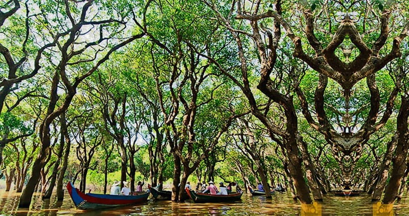 From Siem Reap: Floating Village Tour by Boat - Is the $26 price good value?