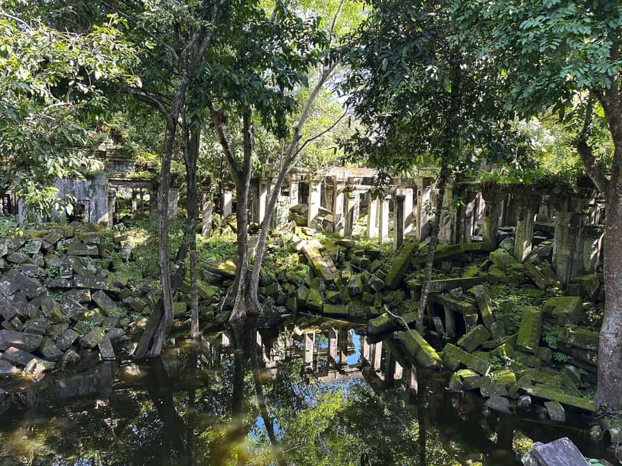 From Siem Reap: Half-Day Tour to Beng Mealea Temple - What the guide adds to the temple