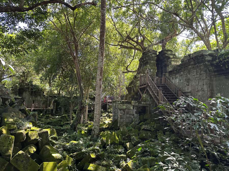From Siem Reap: Half-Day Tour to Beng Mealea Temple - Should you book it?