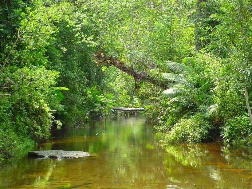 From Siem Reap: Small-Group Phnom Kulen Waterfall Day Tour - What the guides add to the day