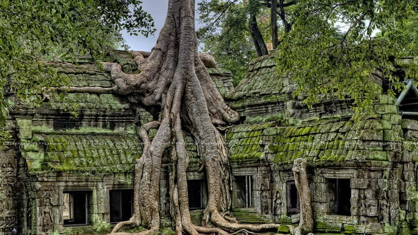 Full-Day Angkor Wat Sunrise and Sunset Private Tour - Bayon and the faces of Angkor Thom