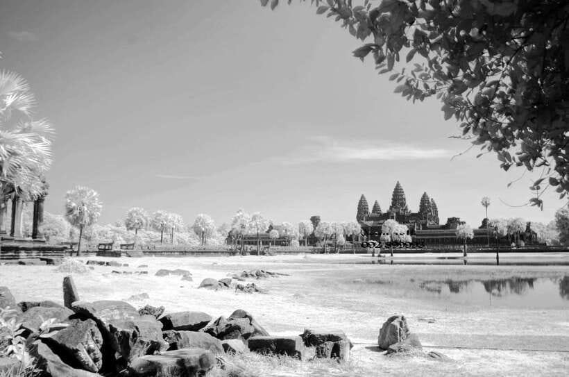 Full-Day Angkor Wat Sunrise and Sunset Private Tour - Ta Prohm and the power of the jungle