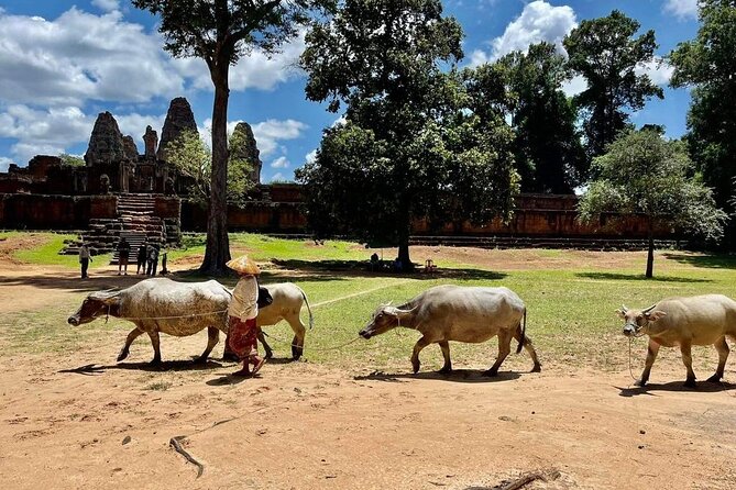 Full-Day 'Big Tour' with Sunset at Phnom Bakheng - Neak Pean is an unusual island shrine