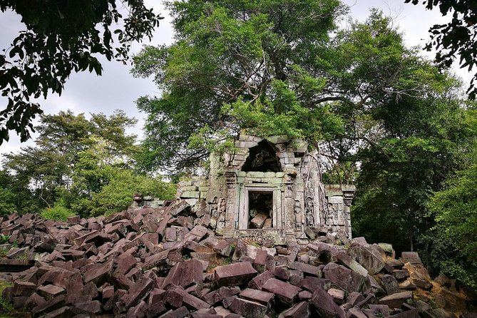 Full-Day Preah Vihear, Koh Ker and Beng Mealea Private Tour - Beng Mealea and the pleasure of ruins in the trees