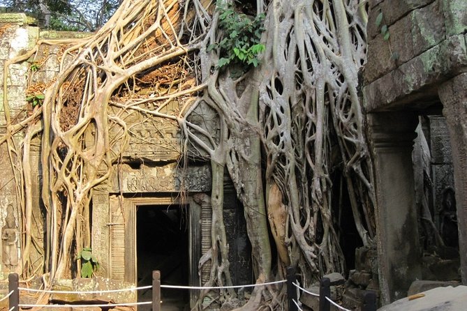 Full-Day Siem Reap Angkor Major Temples Private Tour - Ta Prohm: roots, ruins, and the Tomb Raider effect