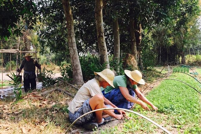 Full Day Siem Reap Farm Tour with Cooking Class and Monk Blessing - Farm work with local people
