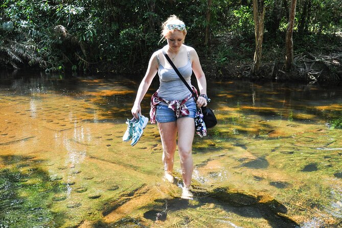 Full Day to Banteay Srei, Kulen National Park and Beng Mealea - Beng Mealea, a temple left to the jungle
