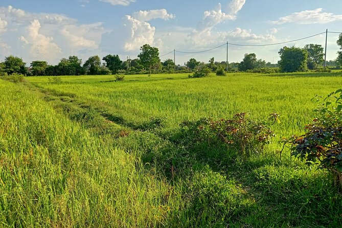 Full Day tour .City tour.Countryside.Bamboo Train.Secret Bat Cave - Starting in Battambang’s French-era center