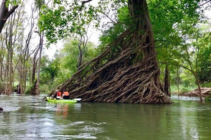 Full Day Tour from Siem Reap - Bamboo Train, Killing Cave & Sunset - Transport, timing, and what the $130 covers