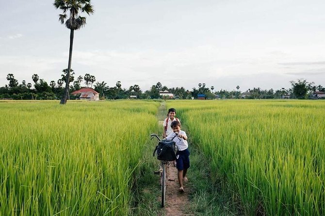 Full-day: Wat Banan. Old bamboo train. Bat Cave. Killing cave - A full day built around Battambang’s back roads