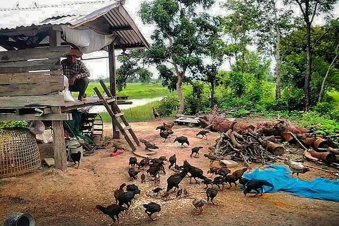 Full-day: Wat Banan. Old bamboo train. Bat Cave. Killing cave - What the guide adds to the day