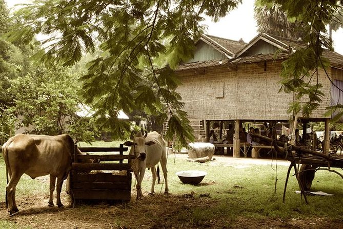 Full-day: Wat Banan. Old bamboo train. Bat Cave. Killing cave - Crossing the Sangke River and visiting local communities