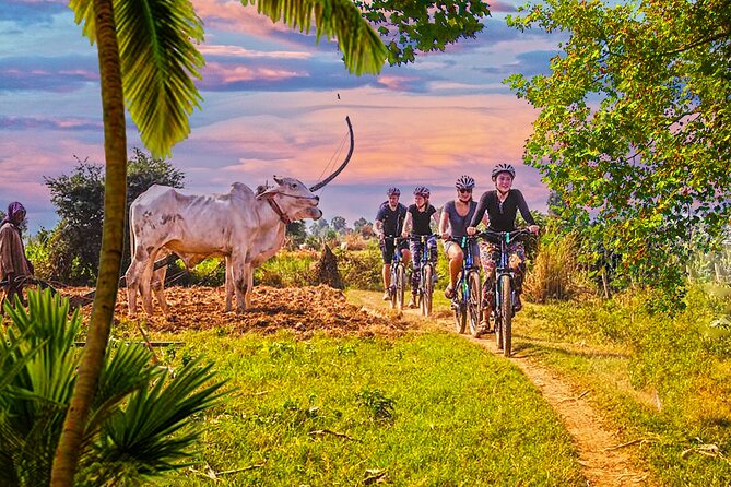 Grand Tour-Ek Phnom. Baset. Bamboo Train. Wat Banan. Phnom Sampov - Food workshops where the countryside comes to life