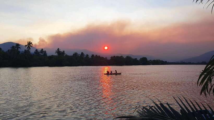 Green Cathedral Kayaking Journey & Reflection River View - Why the nipa palm route feels special