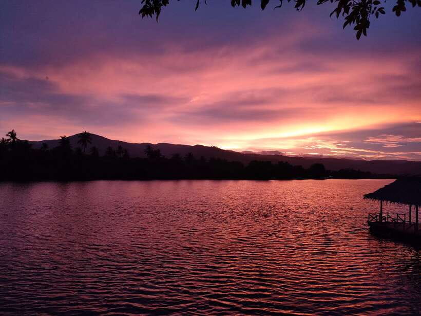 Green Cathedral Kayaking Journey & Reflection River View - Sunset from the river and open water