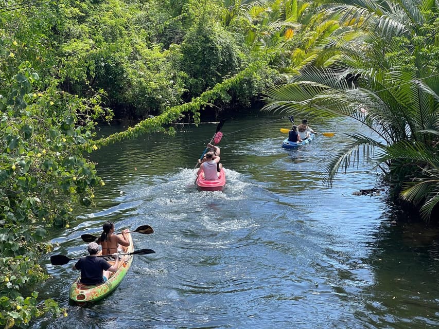 Green Cathedral Kayaking Journey & Reflection River View - What $28 includes, and what it does not