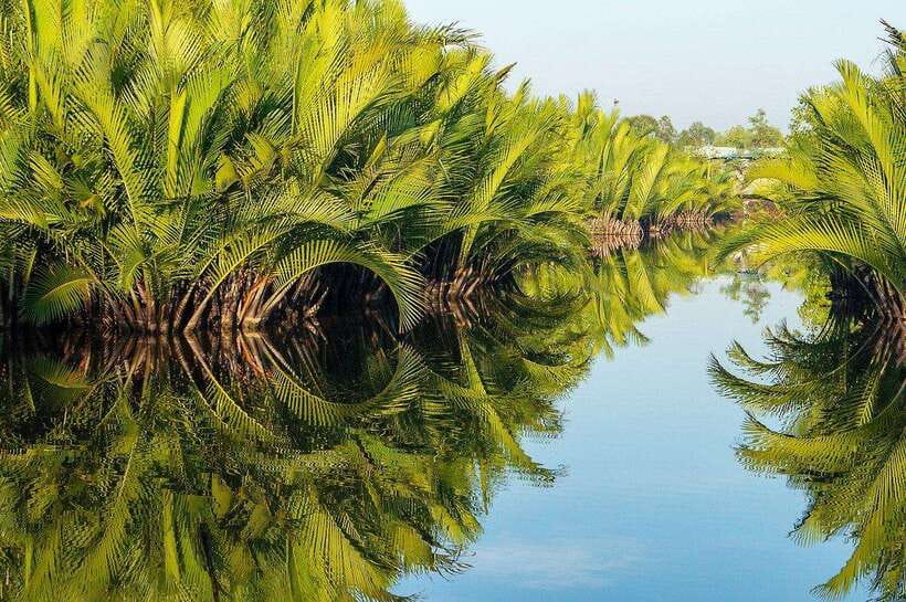 Green Cathedral Kayaking Journey & Reflection River View - Who will enjoy this Kampot excursion