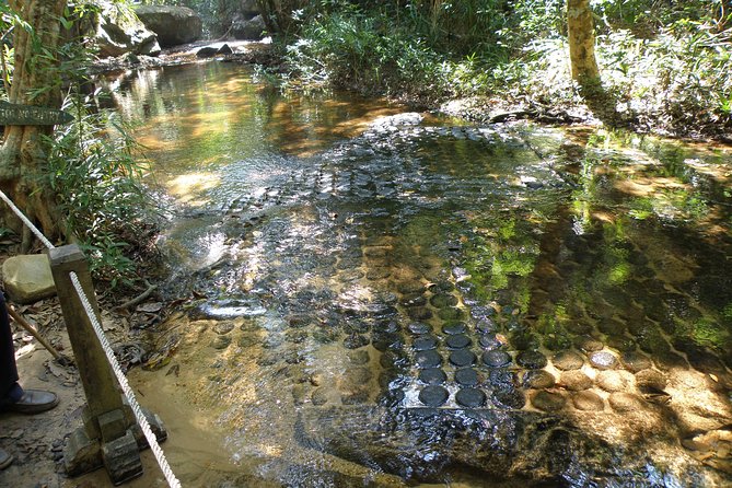 Guided Small-Group Tour in Kulen Mountain Park Waterfall - What the guide adds to the day