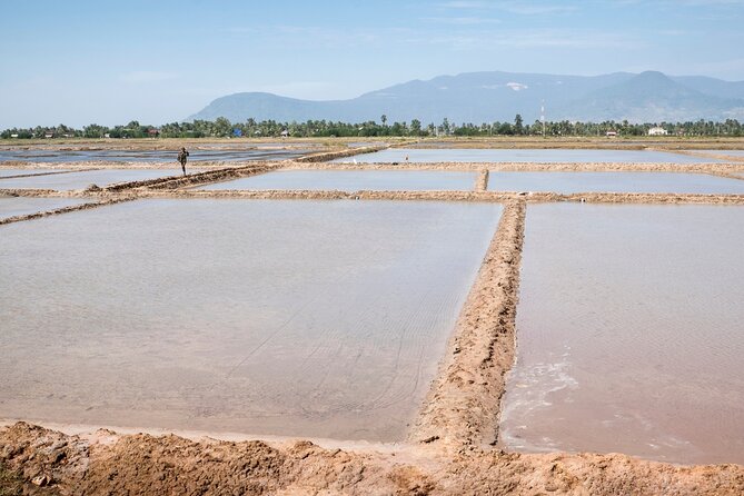 Half-Day Adventure to the Pepper Farm by Scooter - Why a scooter works so well around Kampot