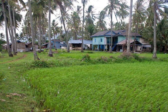 Half-Day Adventure to the Pepper Farm by Scooter - BoTree Farm and the taste of Kampot pepper