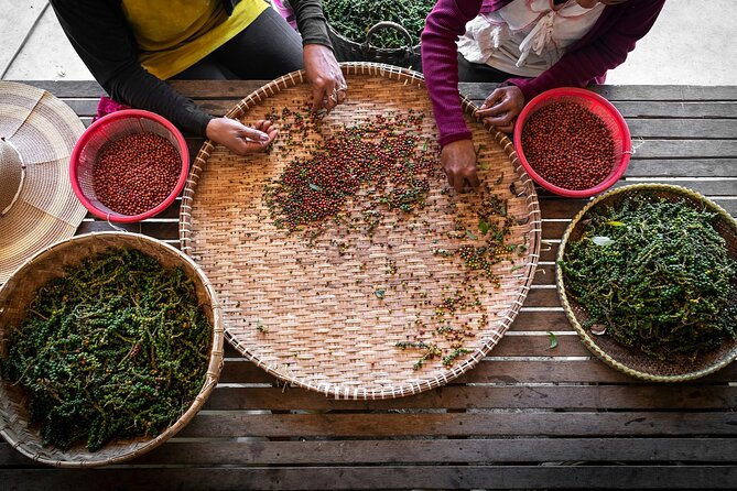Half-Day Adventure to the Pepper Farm by Scooter - Salt fields and Cambodiaâs coastal trade