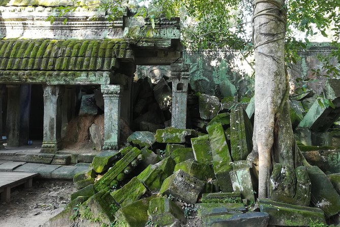 Half Day Angkor Wat Sunrise Private Tour - Why the 4:30 am start is worth considering