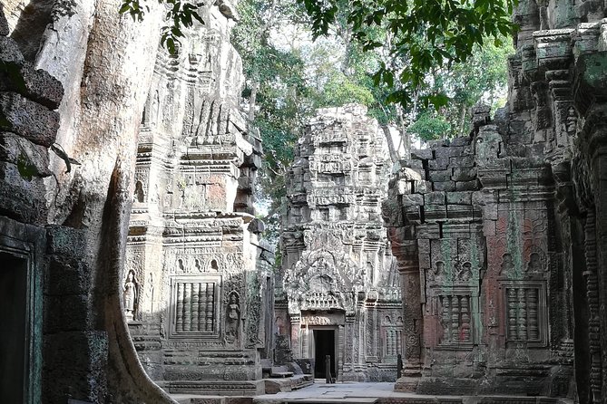 Half Day Angkor Wat Sunrise Private Tour - What the $59 price really covers