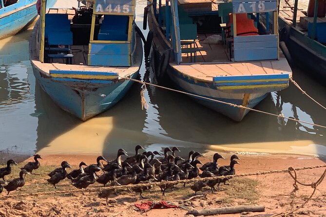 Half Day Floating Village ( Mechrey) & Tole Sap Tour - Reaching the floating village