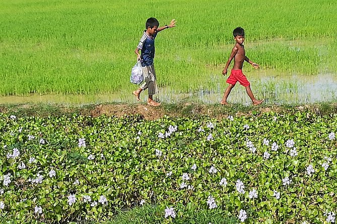 Half Day Floating Village ( Mechrey) & Tole Sap Tour - Two hours by boat on the Tonlé Sap
