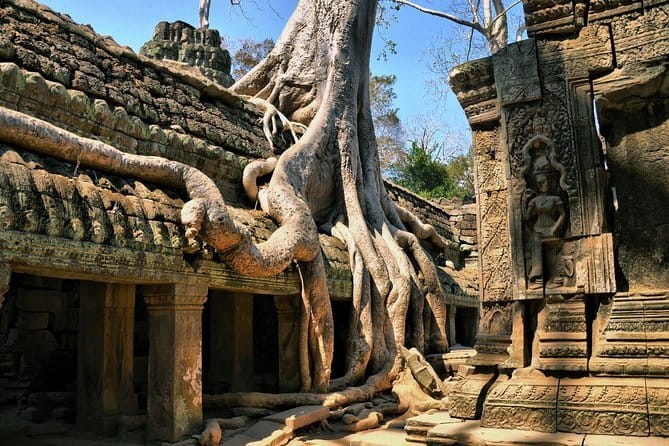 Half Day River Monster Tour with Private Guide in Siem Reap - Why families and first-time visitors may enjoy it