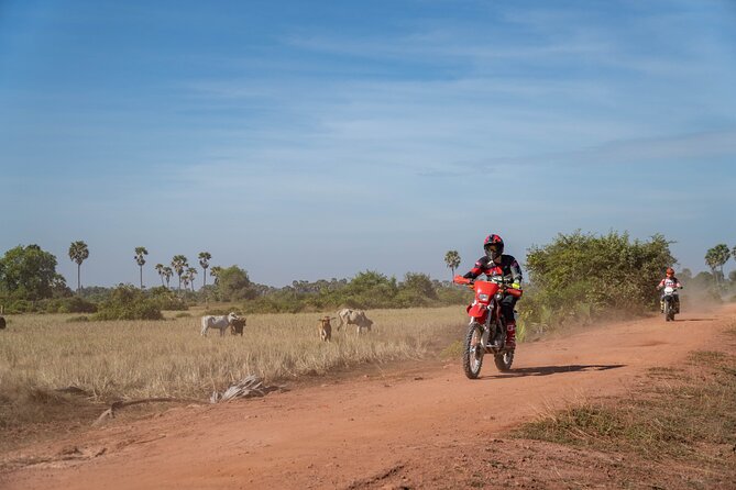 Half Day Siem Reap Off-Road Ride Tour - Practical details that can make the day better