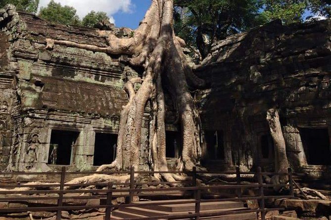 Half-Day Ta Prohm and Banteay Kdei Tour - Srah Srang is a brief but worthwhile pause