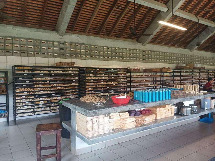Half Day Trip: Silk Farm, Satcha, and Senteur d'Angkor Tour - Senteurs d’Angkor and locally made products