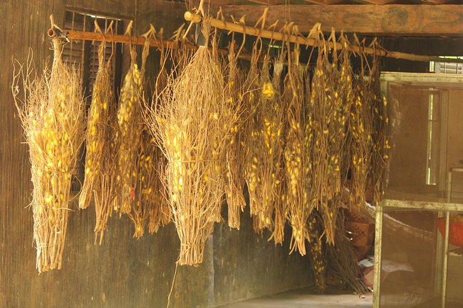 Island Community Life in Phnom Penh - The guide makes the difference
