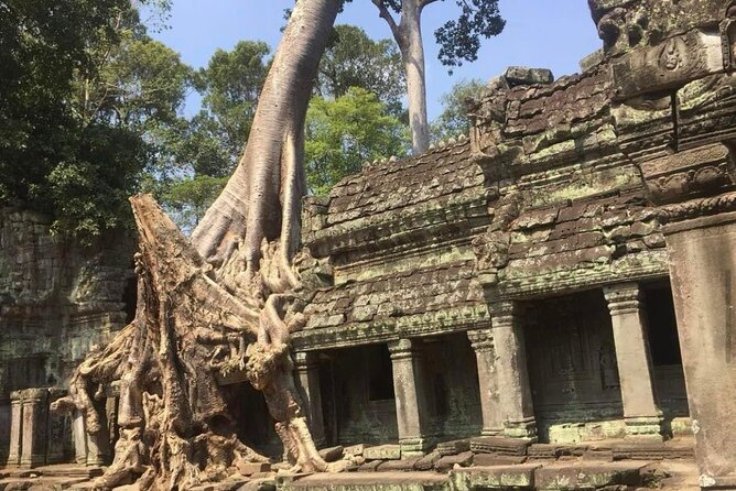 Journey Through Time: Grand Tours with professional photographers - Preah Khan, a former royal center with room to wander