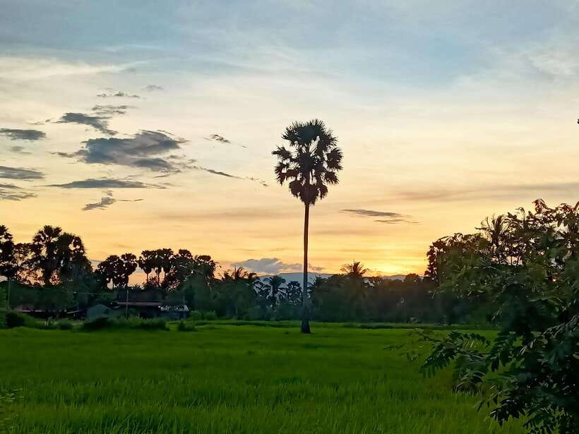 Kampot Countryside include Pepper farm,Kep crab market beach - Key points at a glance