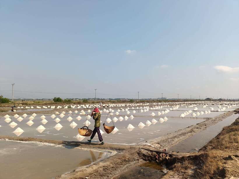 Kampot Countryside include Pepper farm,Kep crab market beach - Kep crab market and the coast