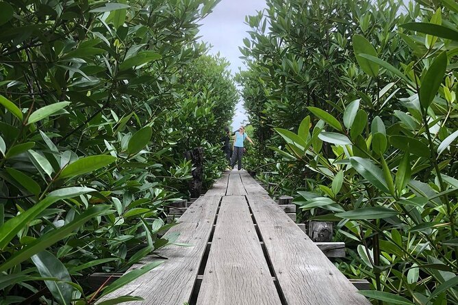 Kampot Countryside Tour - Pepper Farm, Salt Lake, Caves, and more - Phnom Chhngok Cave Temple and its stone stairway
