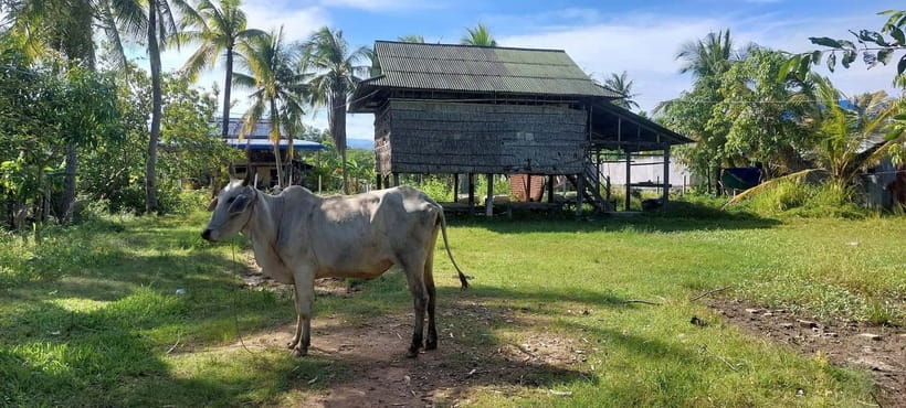 Kampot: Cultural Bike Experience - Local Life & Countryside - Why this Kampot tour feels different