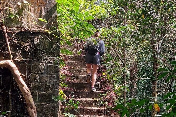 Kampot Day Tour "Bokor National Park" - Forest roads, monkeys, and Nepenthes fields