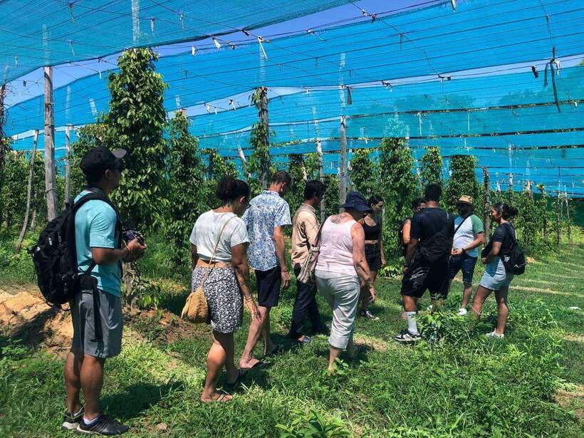 Kampot Pepper Farm, Salt Fields, Crab Market from Phnom Penh - Kampots colonial streets and river views