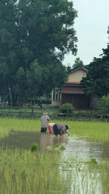 Kampot Pepper & Kep/Crab Market Tours: Salt, Secret lake - What the $23 price really includes