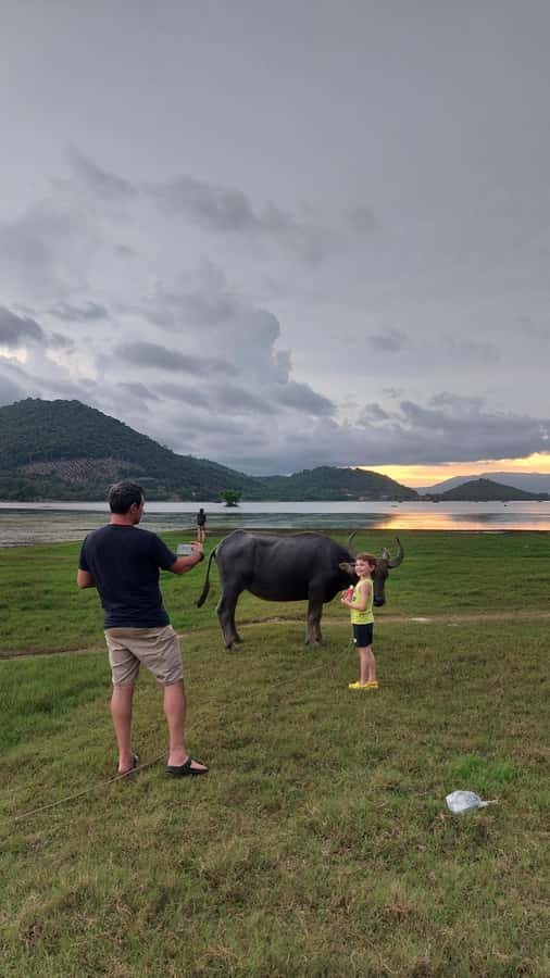 Kampot's Countryside & Kayak Tour, Pepper Farm include Lunch - Fried rice before the river