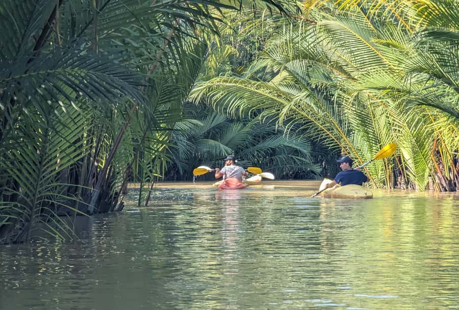 Kampot's Countryside & Kayak Tour, Pepper Farm include Lunch - Kayaking through Kampot’s Green Cathedral